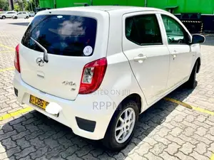 Perodua Axia G 2019 Car (Used)