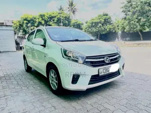 Perodua Axia G 2019 Car (Used)
