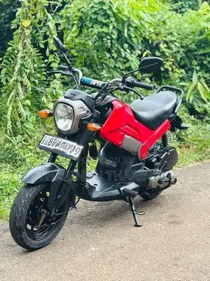 Honda Navi 2019