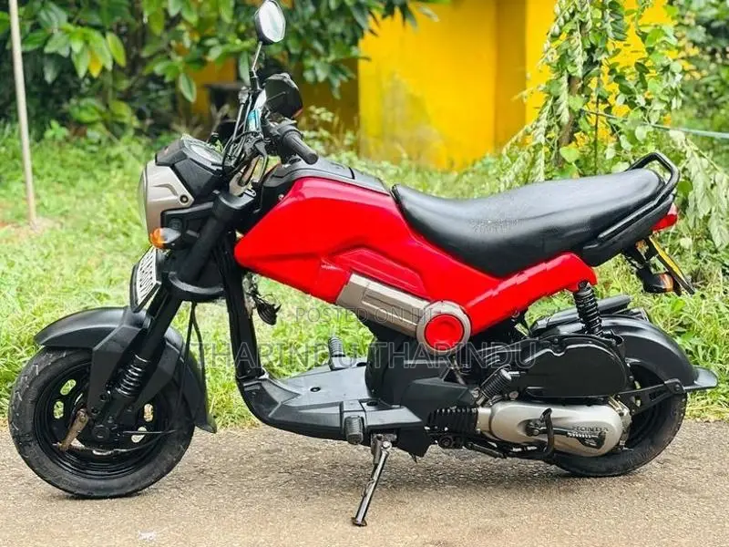 Honda Navi 2019