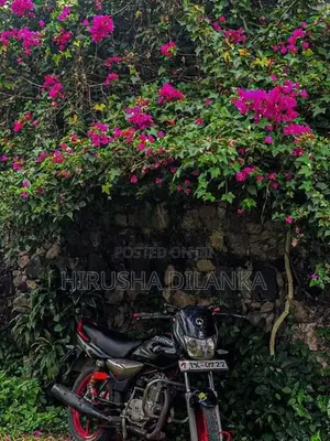 Bajaj Platina 100 2004