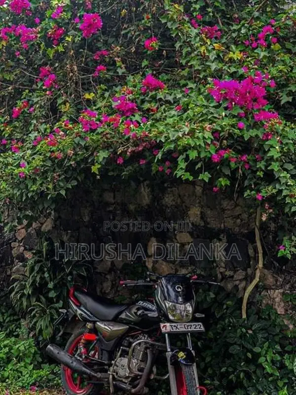 Bajaj Platina 100 2004