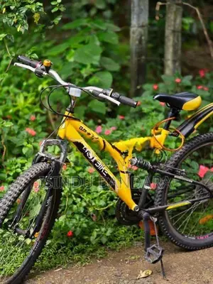 Dsi Bicycle