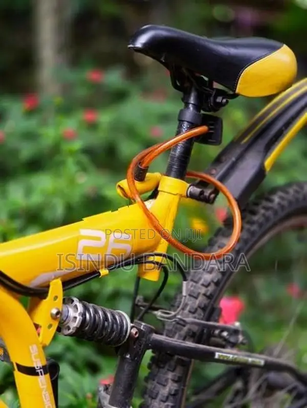 Dsi Bicycle