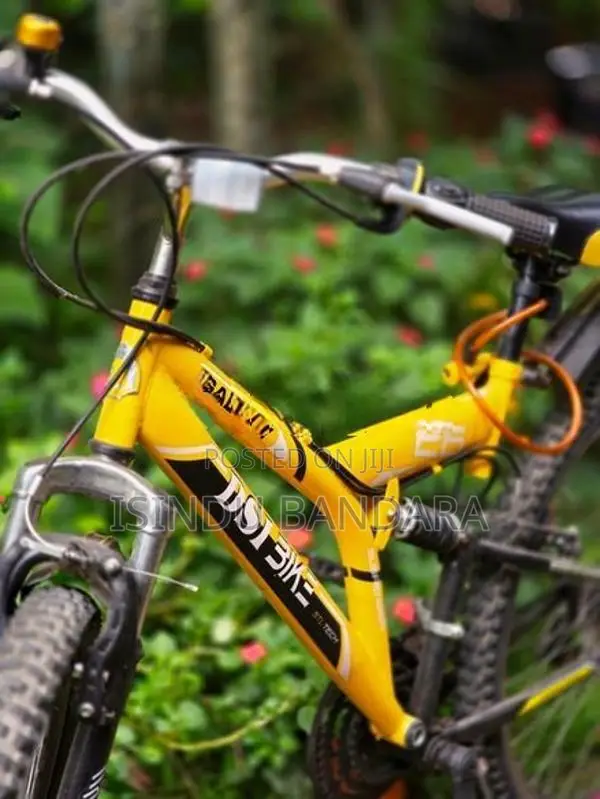 Dsi Bicycle