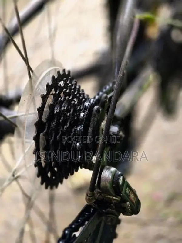 Dsi Bicycle