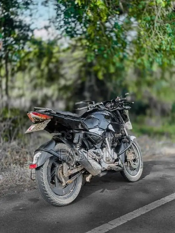 Bajaj Pulsar 135 2013