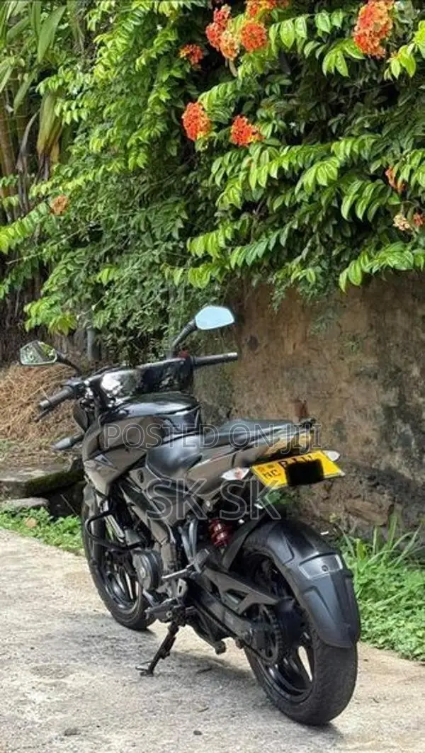 Bajaj Pulsar NS200 2020