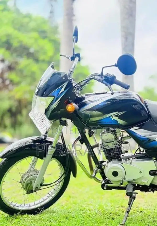 Bajaj CT100 2017