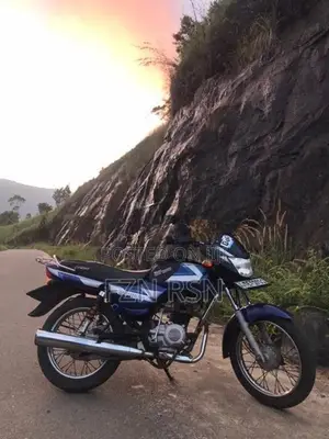 Bajaj CT100 2006