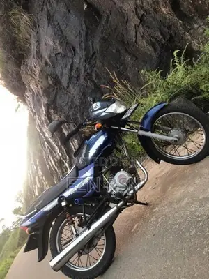 Bajaj CT100 2006