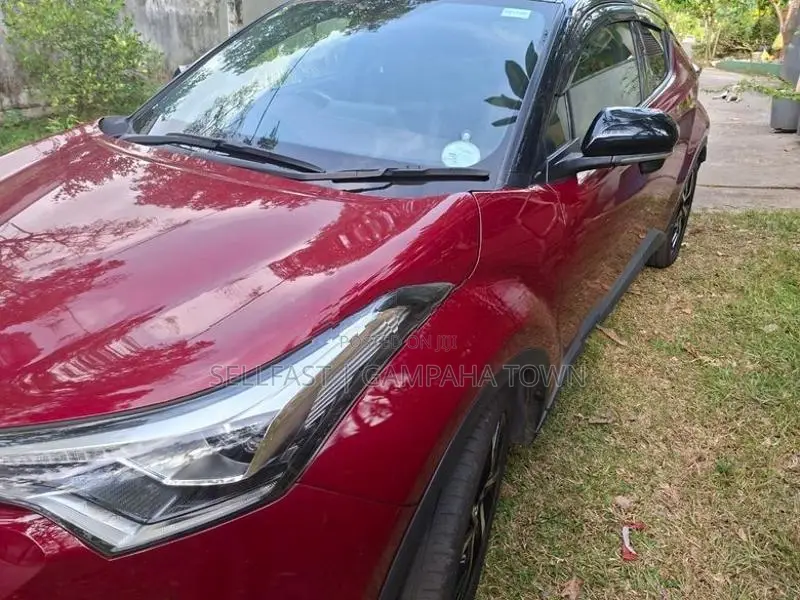 Toyota CHR NGX 10 2019