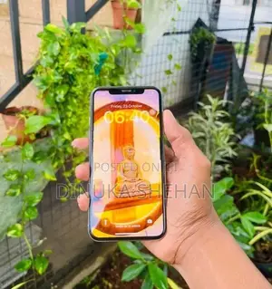Apple iPhone X (Used)