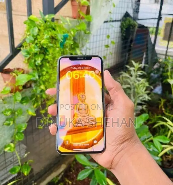 Apple iPhone X (Used)