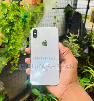 Apple iPhone X (Used)
