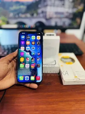 Apple iPhone 13 Pro Max (Used)