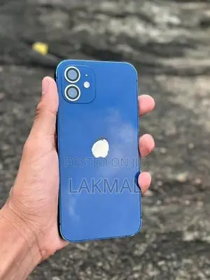 Apple iPhone 12 (Used)