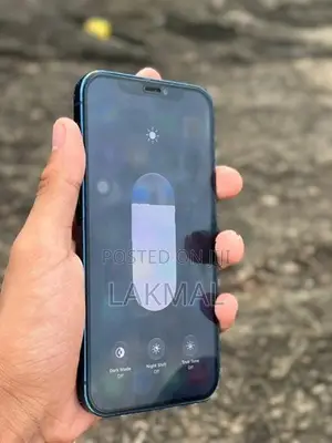 Apple iPhone 12 (Used)