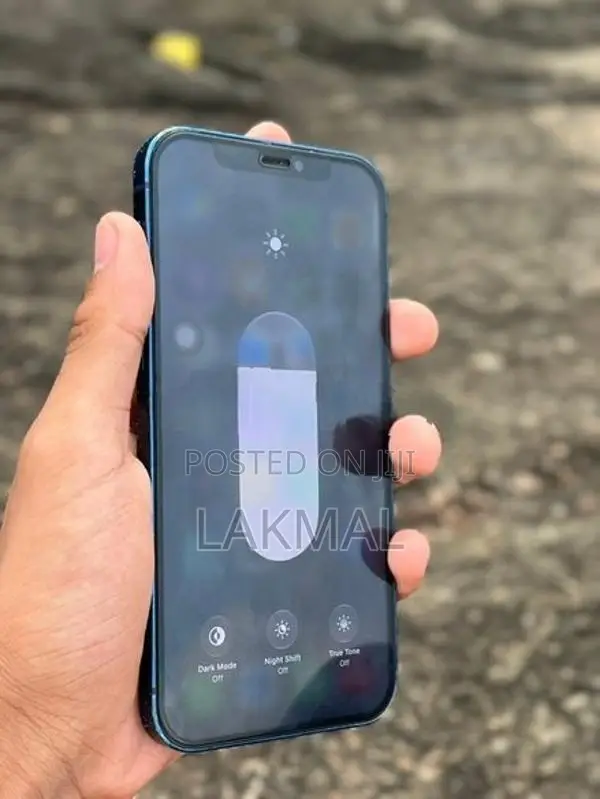 Apple iPhone 12 (Used)