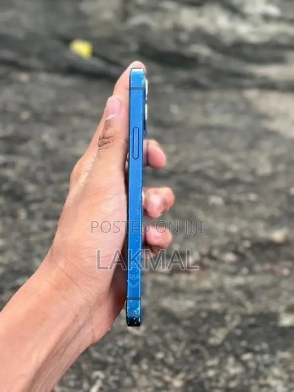 Apple iPhone 12 (Used)