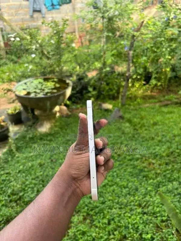 Apple iPhone 14 128GB (Used)