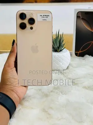 Apple iPhone 16 Pro Max 256GB (Used)