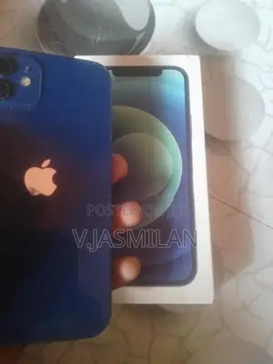 Apple iPhone 12 (Used)