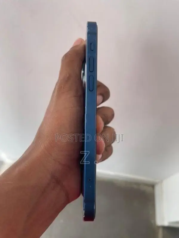 Apple iPhone 12 (Used)