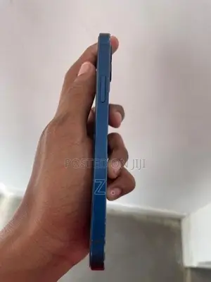 Apple iPhone 12 (Used)