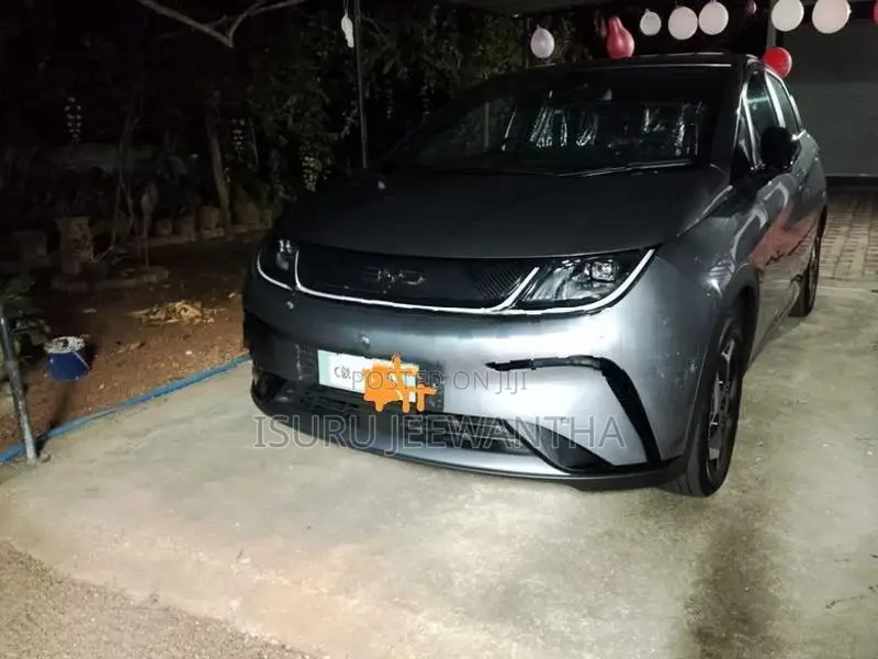 BYD Dolphin 2025