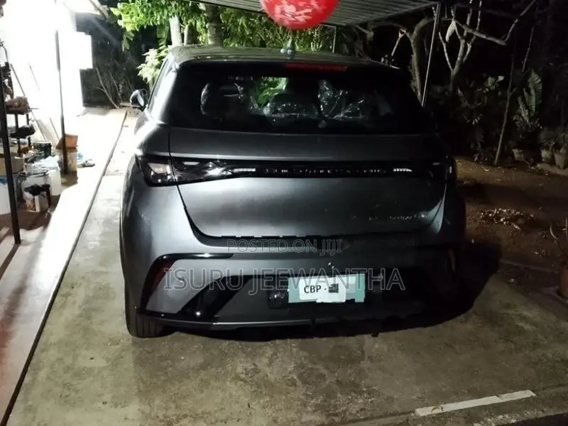 BYD Dolphin 2025