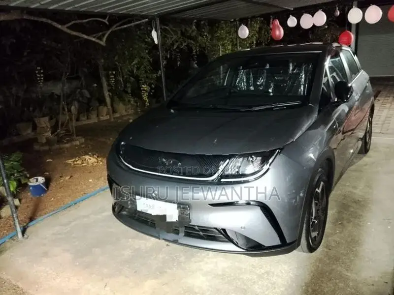 BYD Dolphin 2025