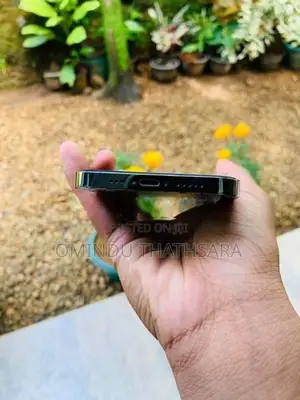 Apple iPhone 12 Pro 256GB (Used)