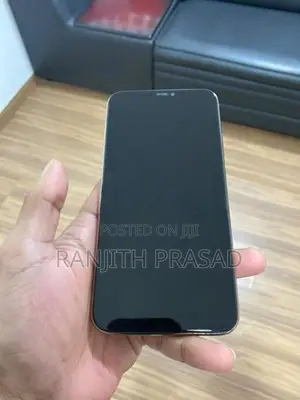 Apple iPhone 11 Pro Max 256GB (Used)