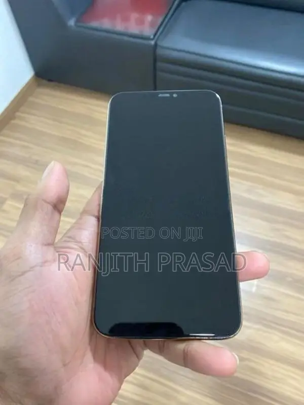Apple iPhone 11 Pro Max 256GB (Used)
