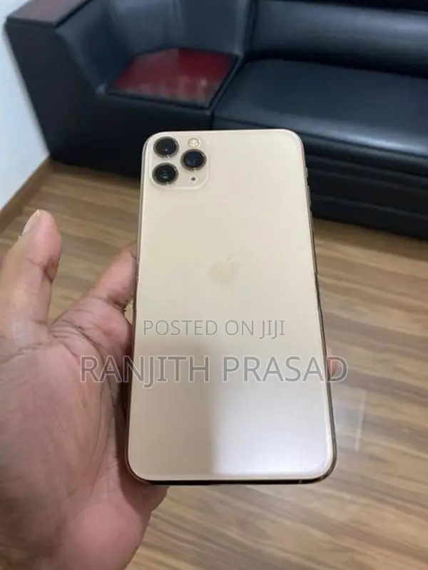 Apple iPhone 11 Pro Max 256GB (Used)