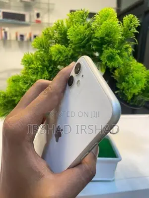 Apple iPhone 11 (Used)