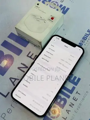 Apple iPhone 12 Pro Max 5G 128GB (Used)