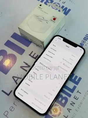 Apple iPhone 12 Pro Max 5G 128GB (Used)