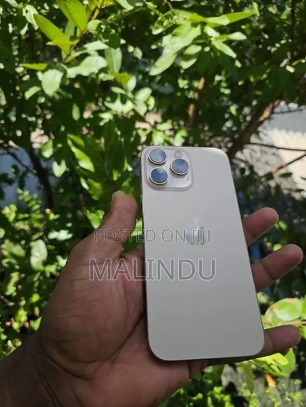 Apple iPhone 16 Pro Max (Used)
