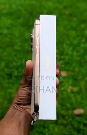 Apple iPhone 16 Pro Max 256GB (Used)