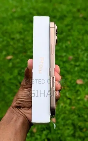 Apple iPhone 16 Pro Max 256GB (Used)