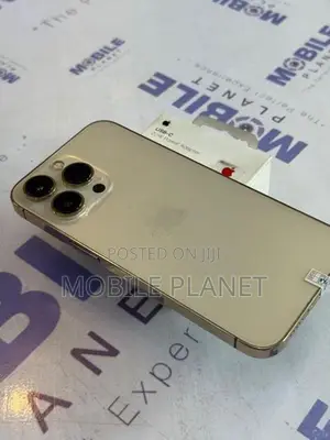 Apple iPhone 13 Pro 5G 256GB (Used)