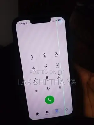 Apple iPhone 13 (Used)