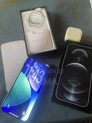 Apple iPhone 12 Pro Max (Used)