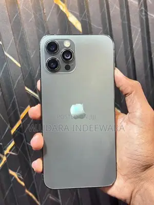 Apple iPhone 12 Pro Max (Used)