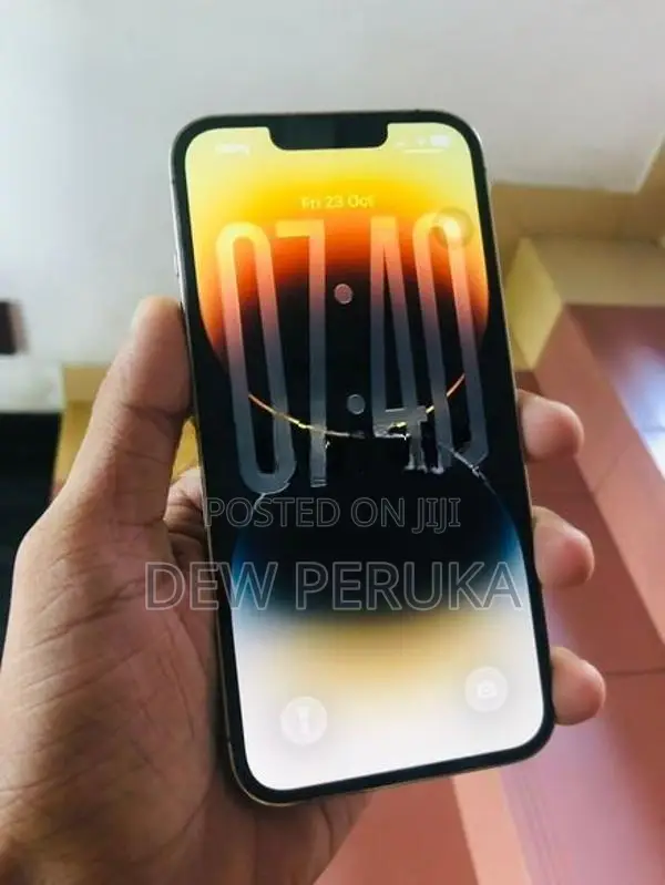 Apple iPhone 13 Pro (Used)
