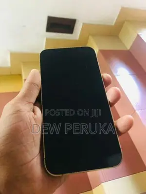 Apple iPhone 13 Pro (Used)