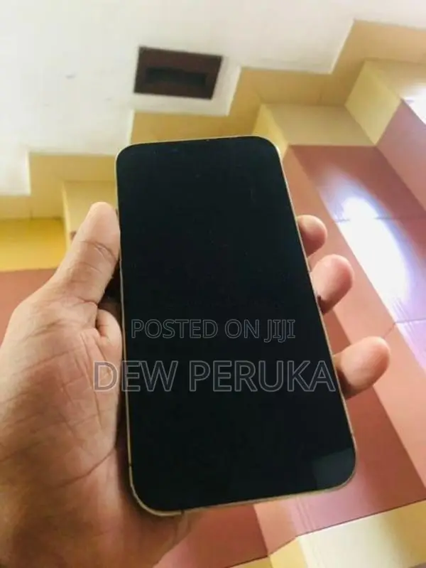 Apple iPhone 13 Pro (Used)