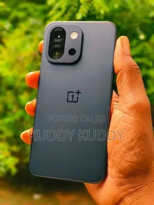 OnePlus 13S 5G 256GB (Used)